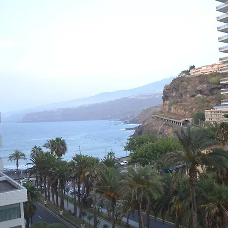 Palmeras Avenida * Puerto de la Cruz (Tenerife)